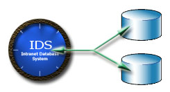 IDS and multiple database usage